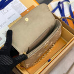 Louis Vuitton Wallet On Chain Ivy M82211 Gray